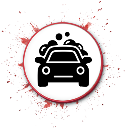 Picture for category CAR CARE